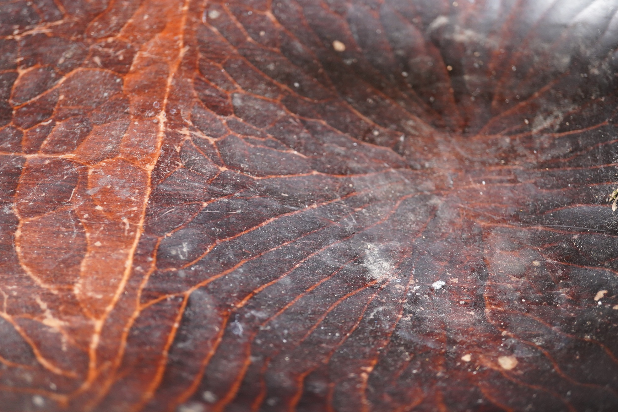 A carved Maori ta ta (water bailer) with mother of pearl inlay, 33cm long. Condition - good